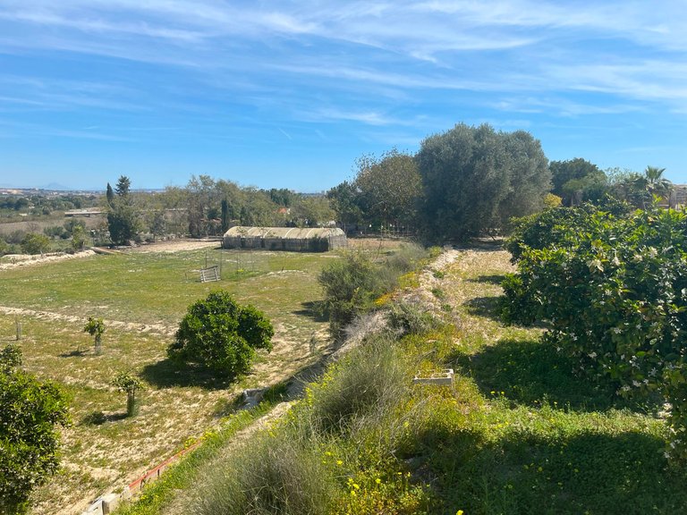 Villa for Sale in Guardamar Del Segura, Alicante 15