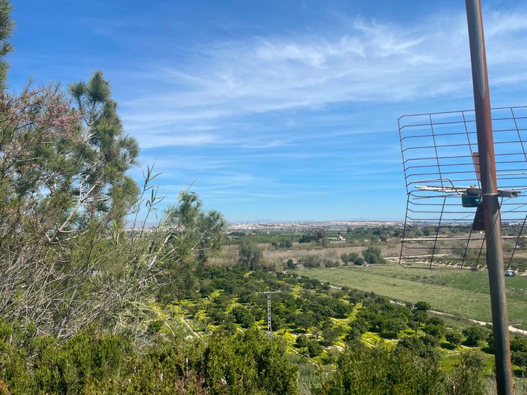 Villa for Sale in Guardamar Del Segura, Alicante 19