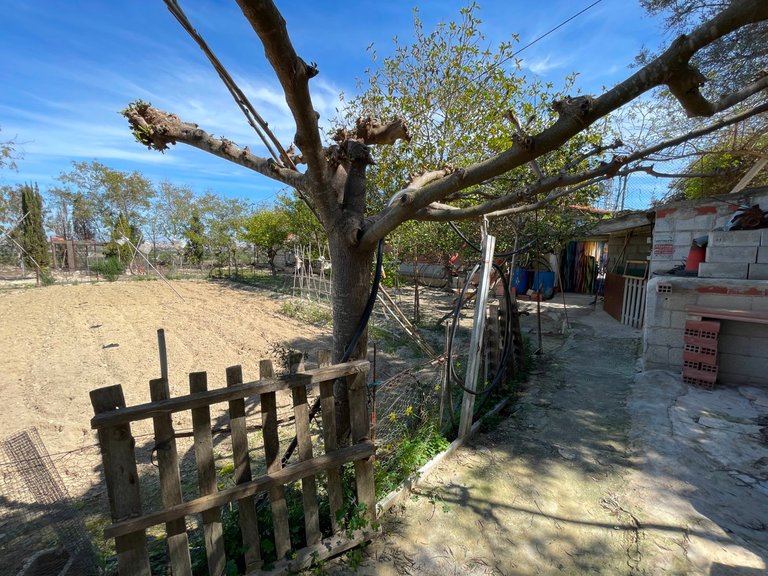 Villa for Sale in Guardamar Del Segura, Alicante 26