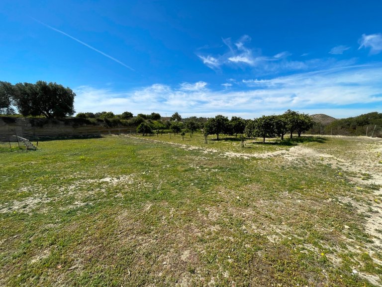 Villa for Sale in Guardamar Del Segura, Alicante 29