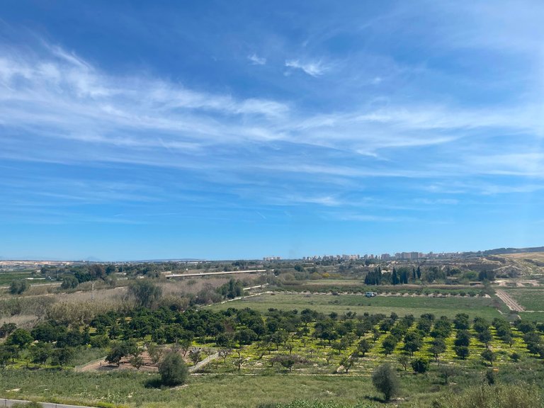 Villa for Sale in Guardamar Del Segura, Alicante 32