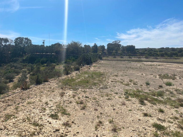 Villa for Sale in Guardamar Del Segura, Alicante 33