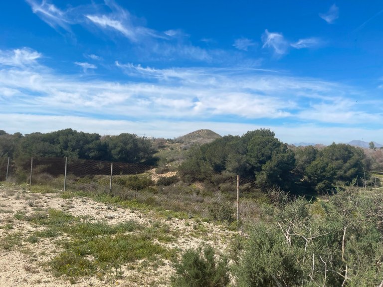 Villa for Sale in Guardamar Del Segura, Alicante 34