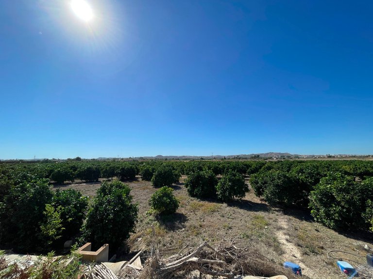 Town House for Sale in San Fulgencio, Alicante 29