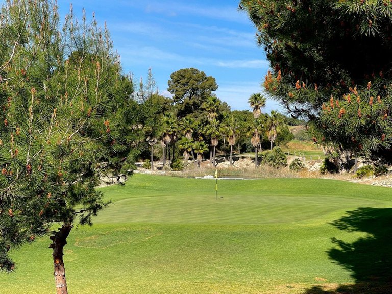 Villa for Sale in Monforte Del Cid, Alicante 4
