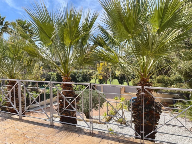 Villa for Sale in Monforte Del Cid, Alicante 6