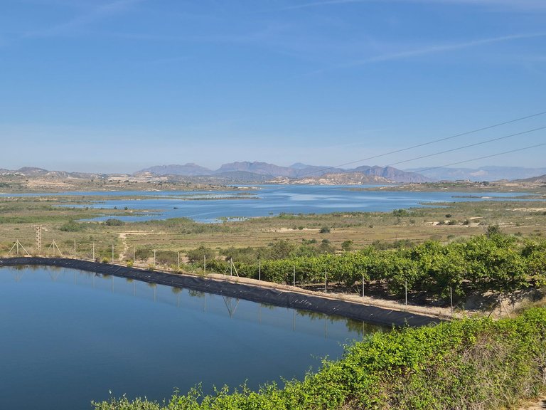 Country House for Sale in Torremendo, Alicante 5