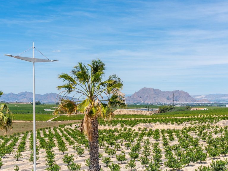Villa for Sale in Algorfa, Alicante 43