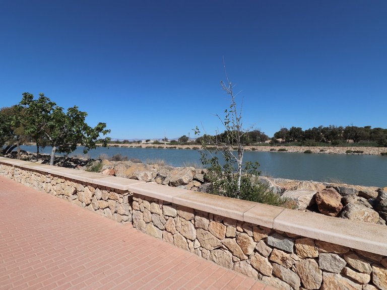Apartment for Sale in Guardamar Del Segura, Alicante 38