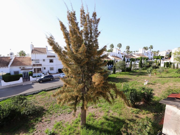 Apartment for Sale in Villamartin, Alicante 14