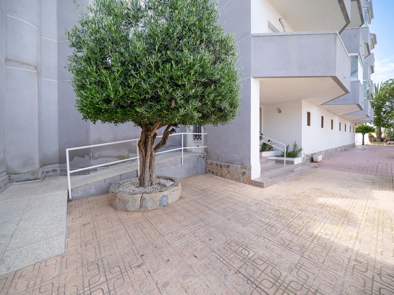 Apartment for Sale in Cabo Roig, Alicante 23