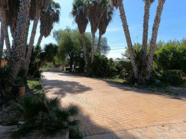 Villa for Sale in Dolores, Alicante 21