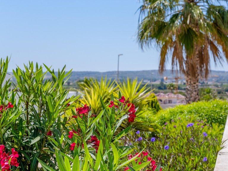 Villa for Sale in La Marina, Alicante 37