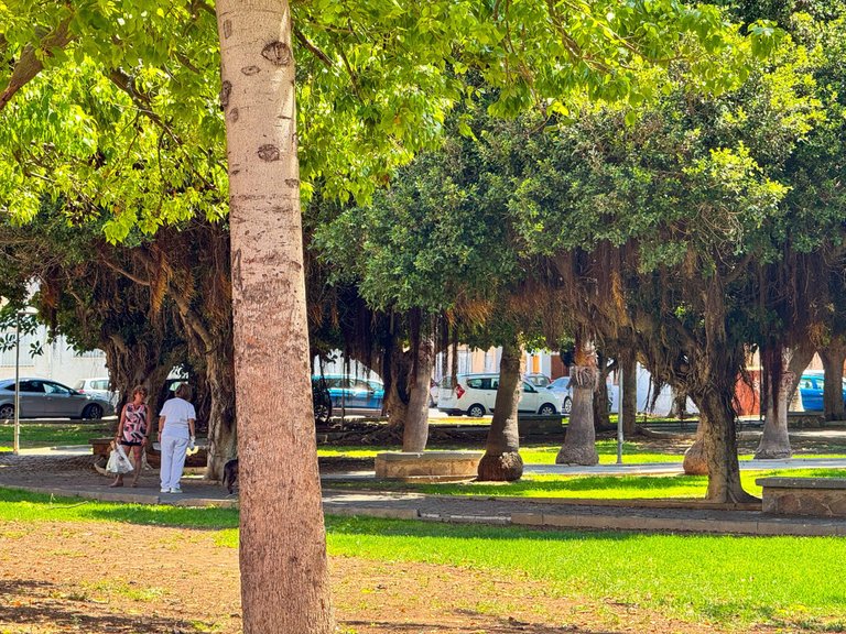 Apartment for Sale in Torrevieja, Alicante 3