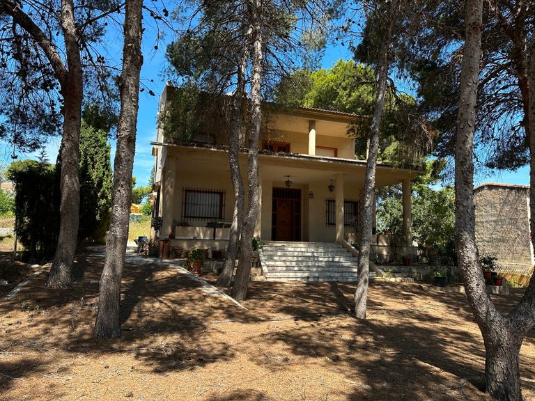 Villa for Sale in Torrevieja, Alicante 2