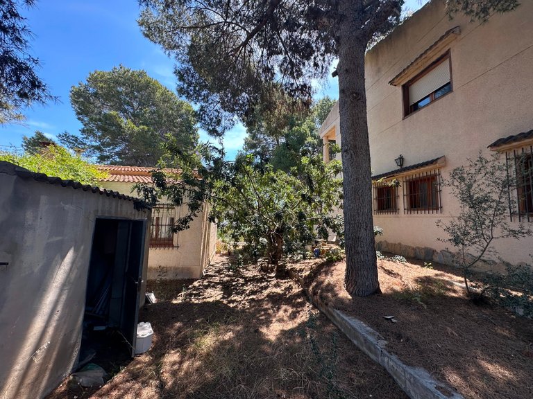 Villa for Sale in Torrevieja, Alicante 5