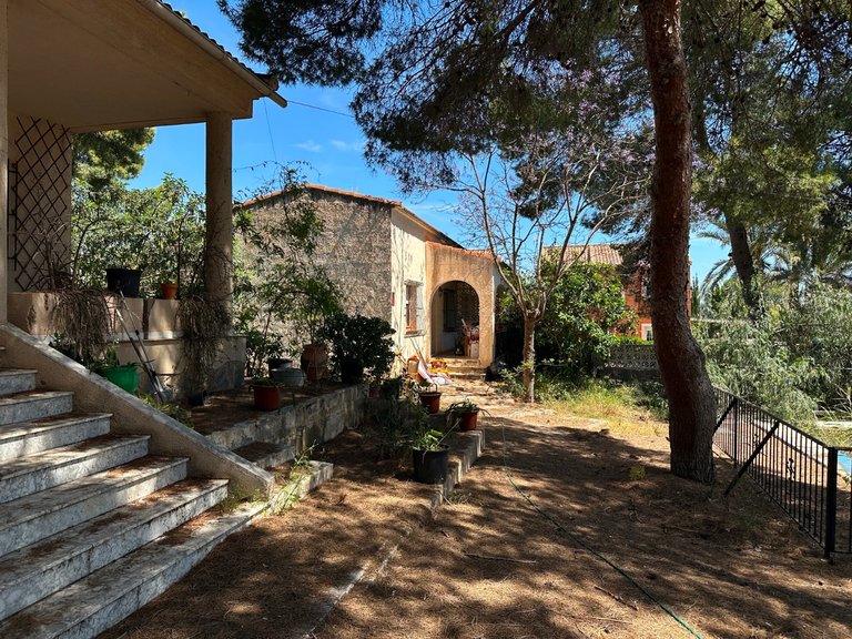Villa for Sale in Torrevieja, Alicante 6
