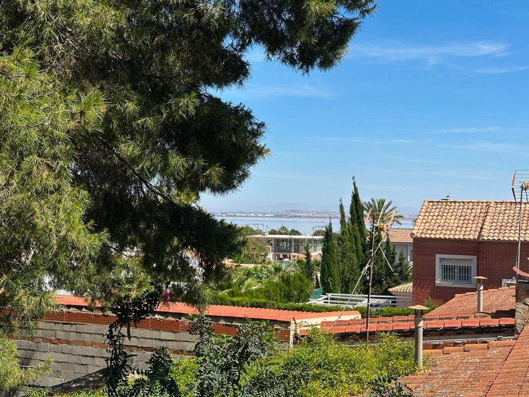 Villa for Sale in Torrevieja, Alicante 36