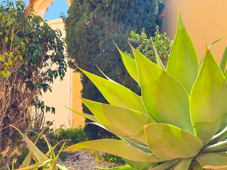 Villa for Sale in Torrevieja, Alicante 26