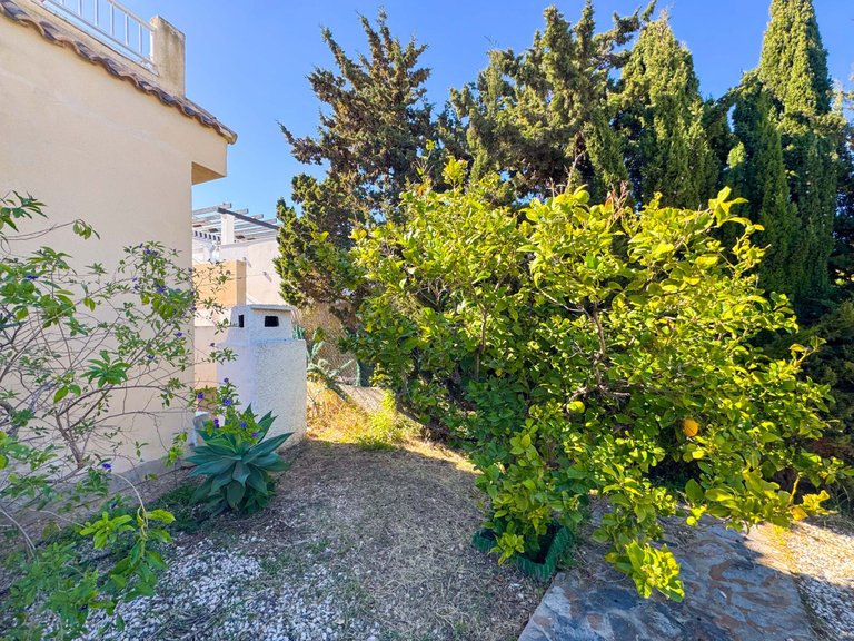 Villa for Sale in Torrevieja, Alicante 37