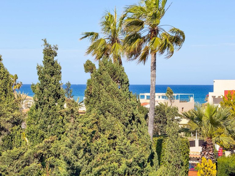 Villa for Sale in Torrevieja, Alicante 39