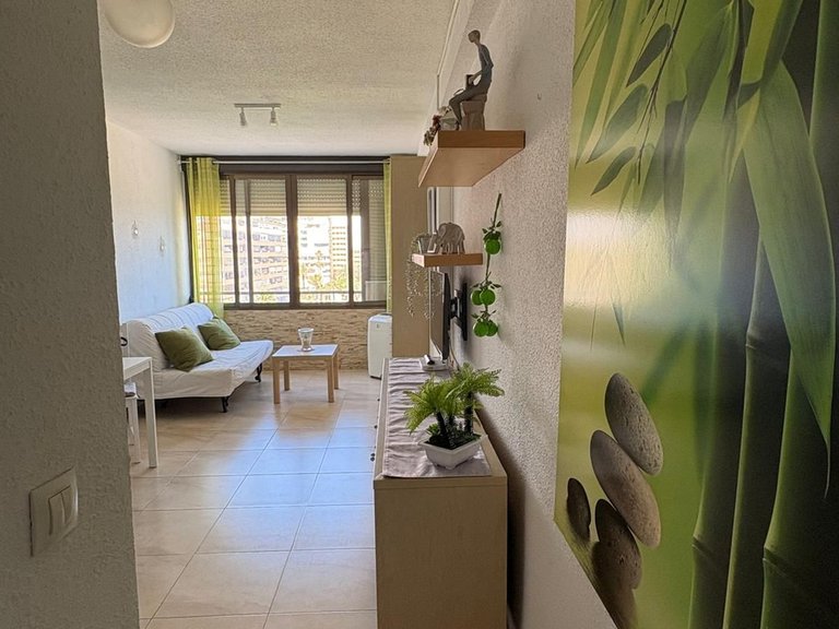Apartment for Sale in Torrevieja, Alicante 1