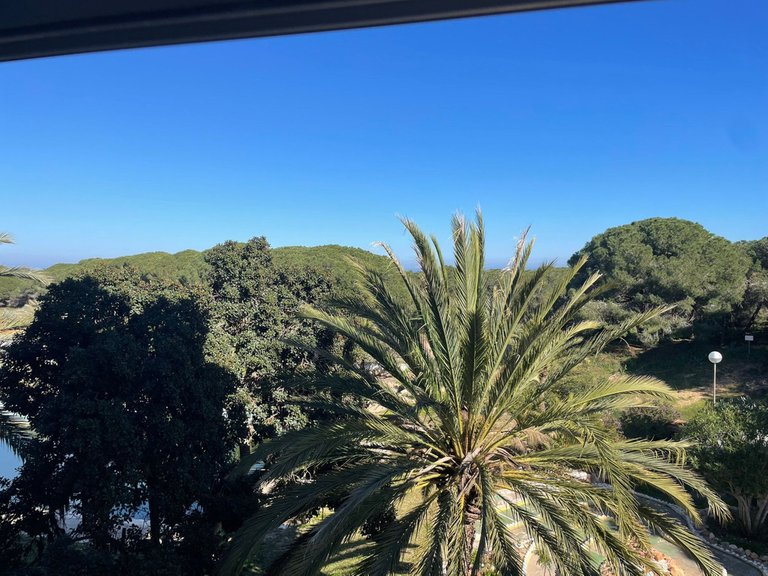 Apartment for Sale in Guardamar Del Segura, Alicante 12