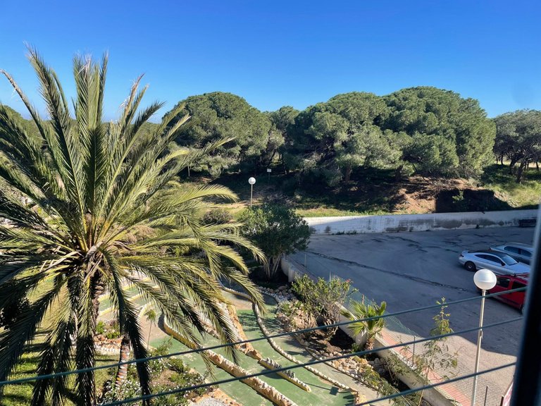 Apartment for Sale in Guardamar Del Segura, Alicante 13