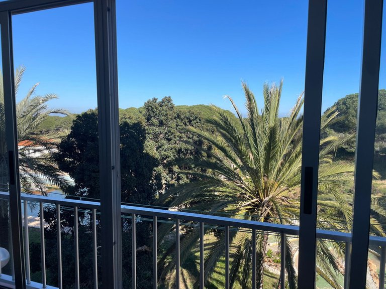 Apartment for Sale in Guardamar Del Segura, Alicante 14