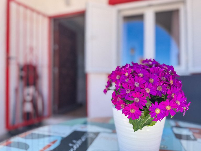 Town House for Sale in Torrevieja, Alicante 5