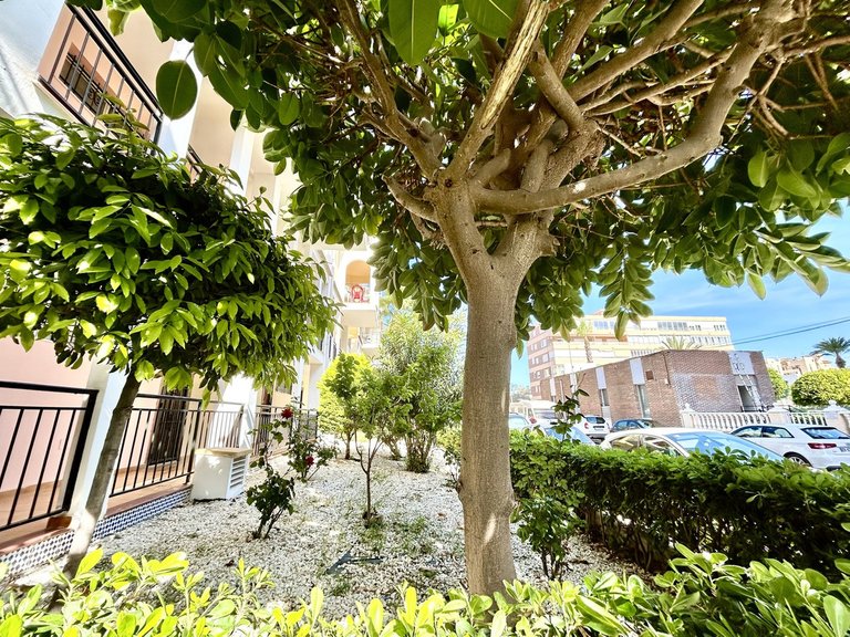 Apartment for Sale in Torrevieja, Alicante 16