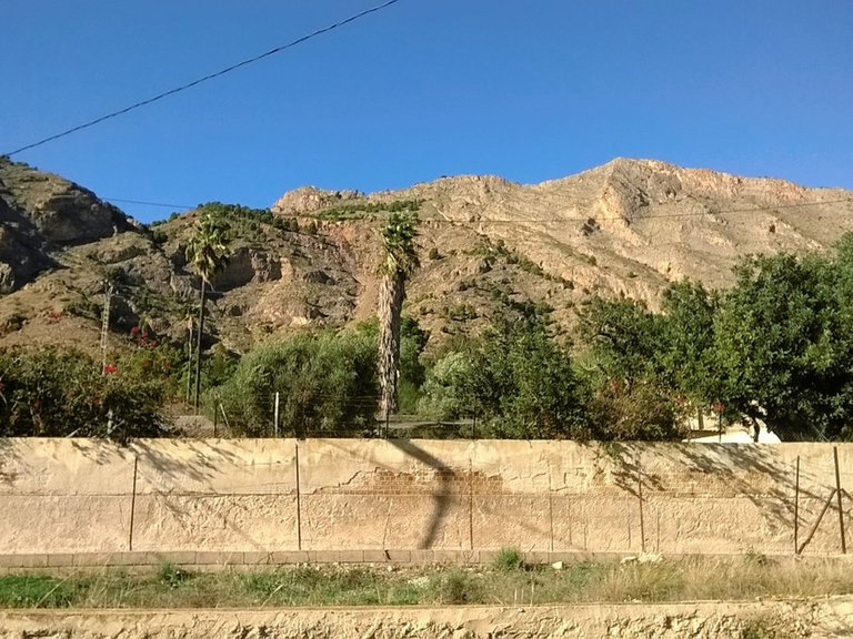 Country House for Sale in Orihuela, Alicante 12