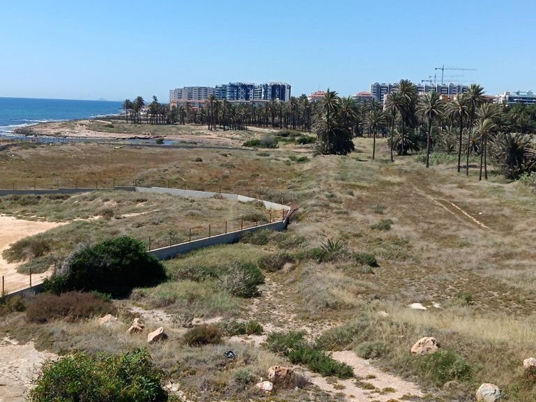 Apartment for Sale in Torrevieja, Alicante 19