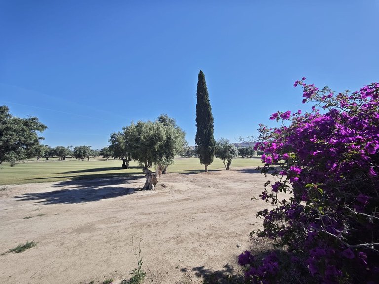 Villa for Sale in Algorfa, Alicante 28