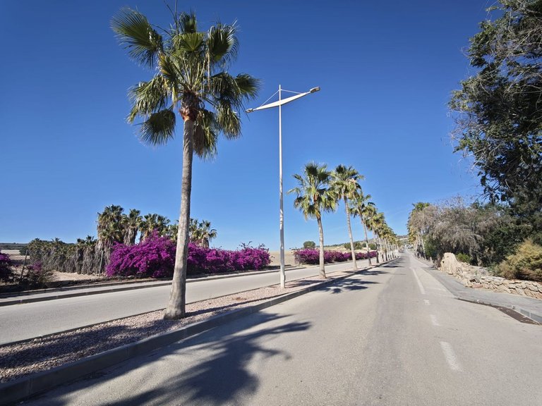 Villa for Sale in Algorfa, Alicante 30