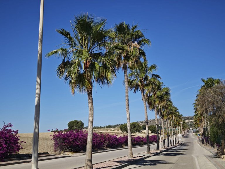 Villa for Sale in Algorfa, Alicante 31