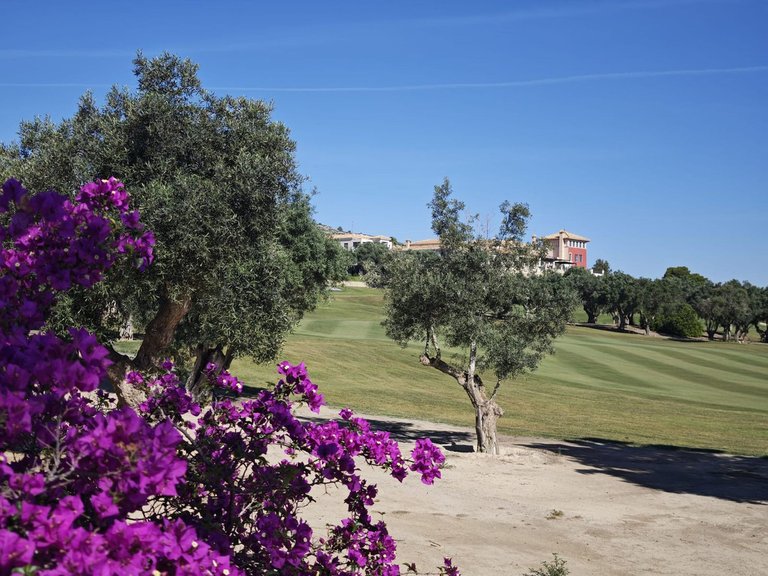 Villa for Sale in Algorfa, Alicante 32