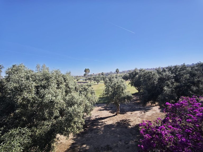 Villa for Sale in Algorfa, Alicante 34