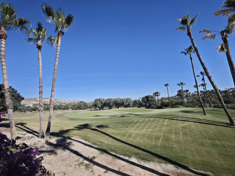 Villa for Sale in Algorfa, Alicante 35