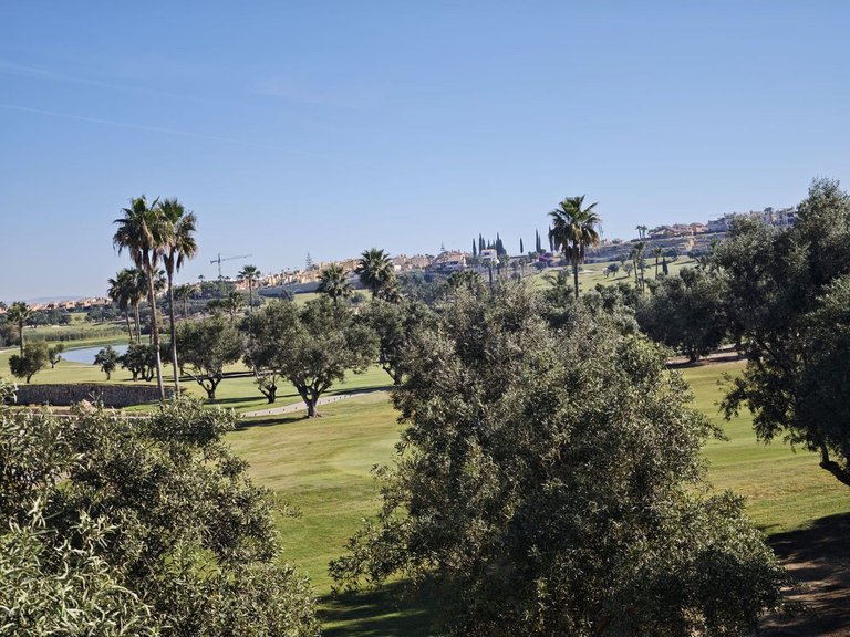 Villa for Sale in Algorfa, Alicante 36