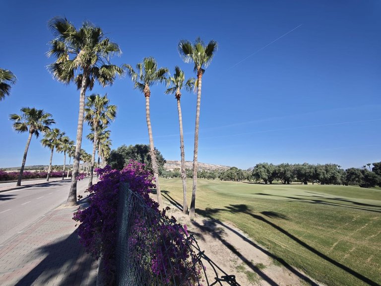 Villa for Sale in Algorfa, Alicante 40