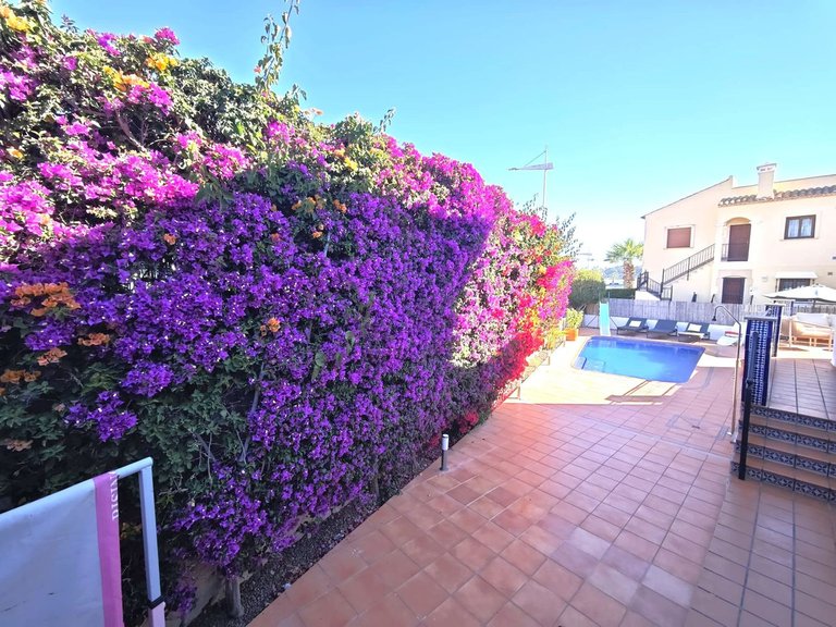 Villa for Sale in Algorfa, Alicante 45