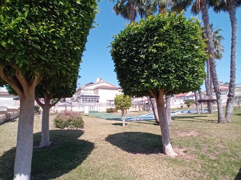 Apartment for Sale in Playa Flamenca, Alicante 42