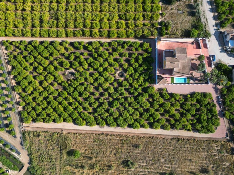 Villa for Sale in Orihuela, Alicante 36
