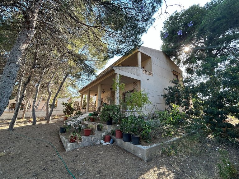 Villa for Sale in Los Balcones, Alicante 42