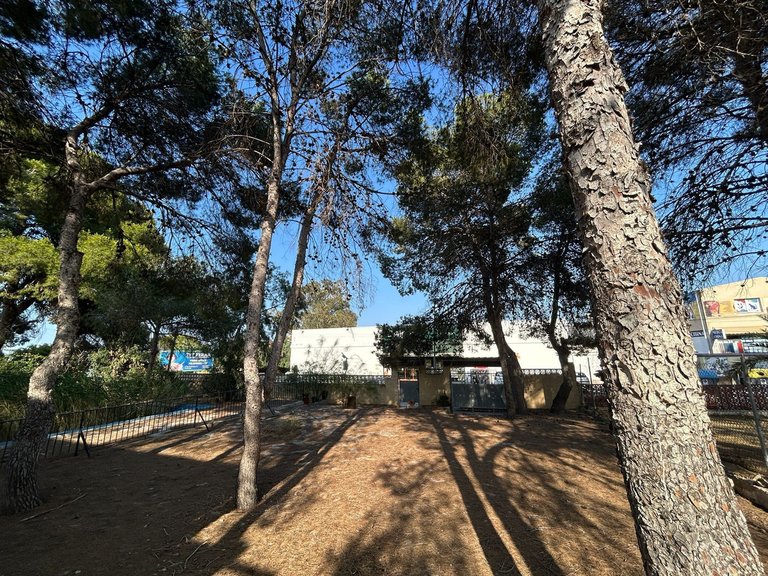 Villa for Sale in Los Balcones, Alicante 46