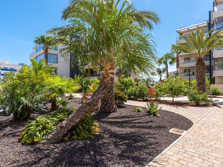 Apartment for Sale in Los Dolses, Alicante 41