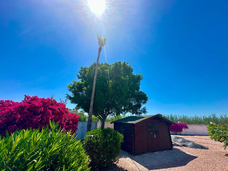 Villa for Sale in Catral, Alicante 19