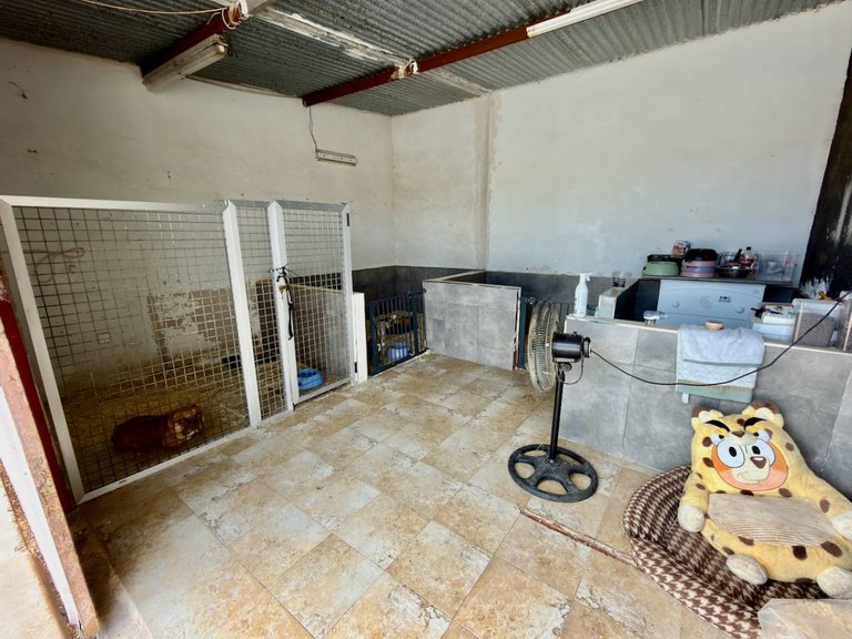 Country House for Sale in San Fulgencio, Alicante 17
