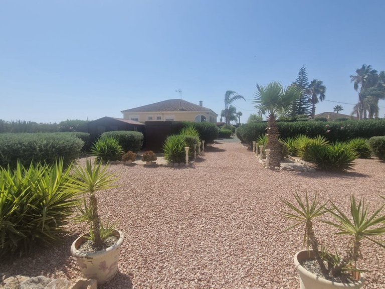 Villa for Sale in Catral, Alicante 20